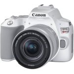 ¡Oferta! Canon EOS Rebel SL3 DSLR CAMARA 18-55mm 3457C001 - Imagen 2