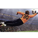 LG 55" Class Full HD Video Wall Monitor 55VL5F-A