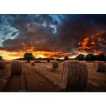 ¡Oferta! Samsung VM46T-U Pantalla Videowall LCD 46" LH46VMBUBGBXGO