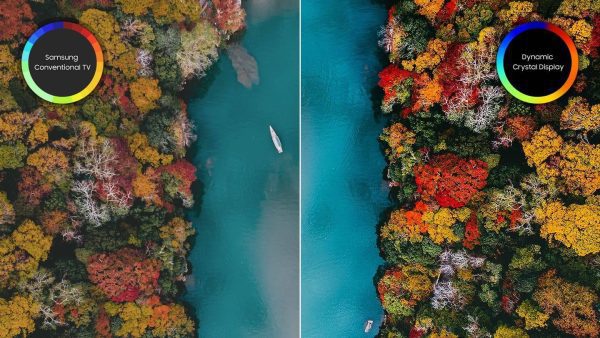 ¡Oferta! SAMSUNG QM43R 43" 4K MONITOR LH43QBBEBGCXGO - Imagen 3