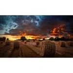 ¡Oferta! SAMSUNG PANTALLA COMERCIAL 55" UHD HDMI 4K  LH55VMBUBGBXGO