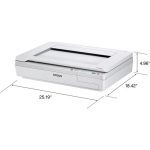 ¡Oferta! Epson WorkForce DS-50000 Escáner B11B204121 - Imagen 2