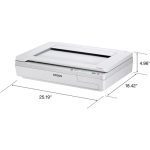 ¡Oferta! Epson WorkForce DS-50000 Escáner B11B204121 - Imagen 2