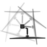 ¡Oferta! LG 32BN88U-B UltraFine Ergo 31.5" Monitor UHD 4K 32BN88U-B - Imagen 8