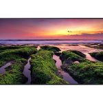 SAMSUNG PANTALLA INDUSTRIAL QBC SERIES 4K 55" UHD LH55QBCEBGCXGO