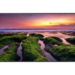 SAMSUNG Pantalla Industrial UHD 4K 65 LH65QBBEBGCXGO