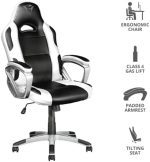 Trust GXT 705W Ryon Silla Gaming GXT 705W - Imagen 2