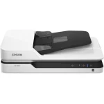 ¡Oferta! Epson DS-1630 cama plana B11B239201 - Imagen 3