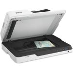 ¡Oferta! Epson DS-1630 cama plana B11B239201 - Imagen 2
